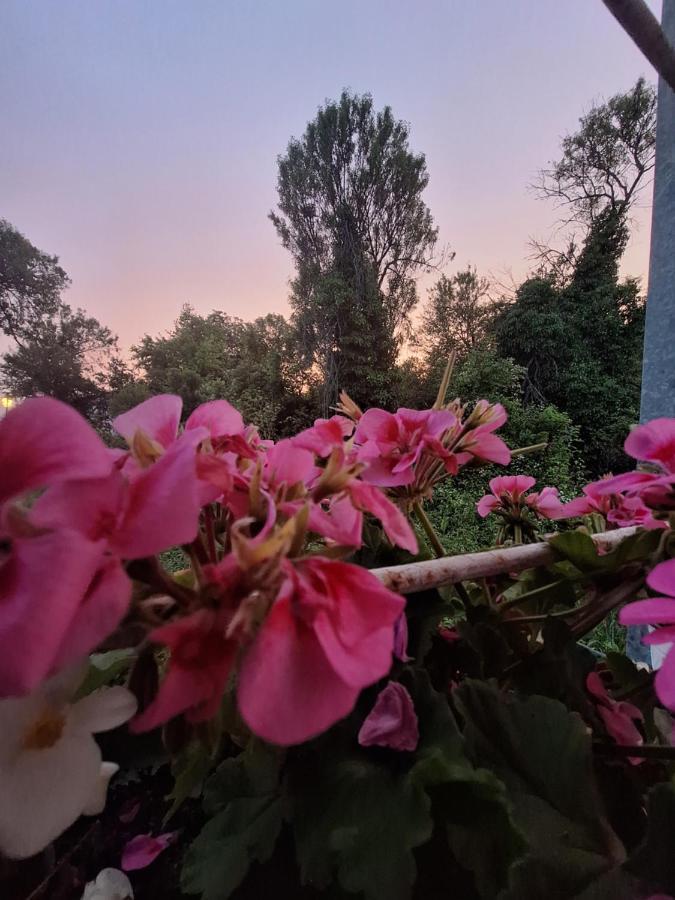 Villa Ella Охрид Екстер'єр фото